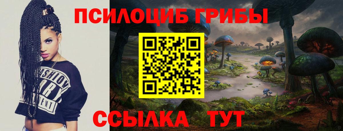 Псилоцибиновые грибы Psilocybe  Вход с VPN  Зеленогорск  Псилоцибиновые грибы ЛСД 